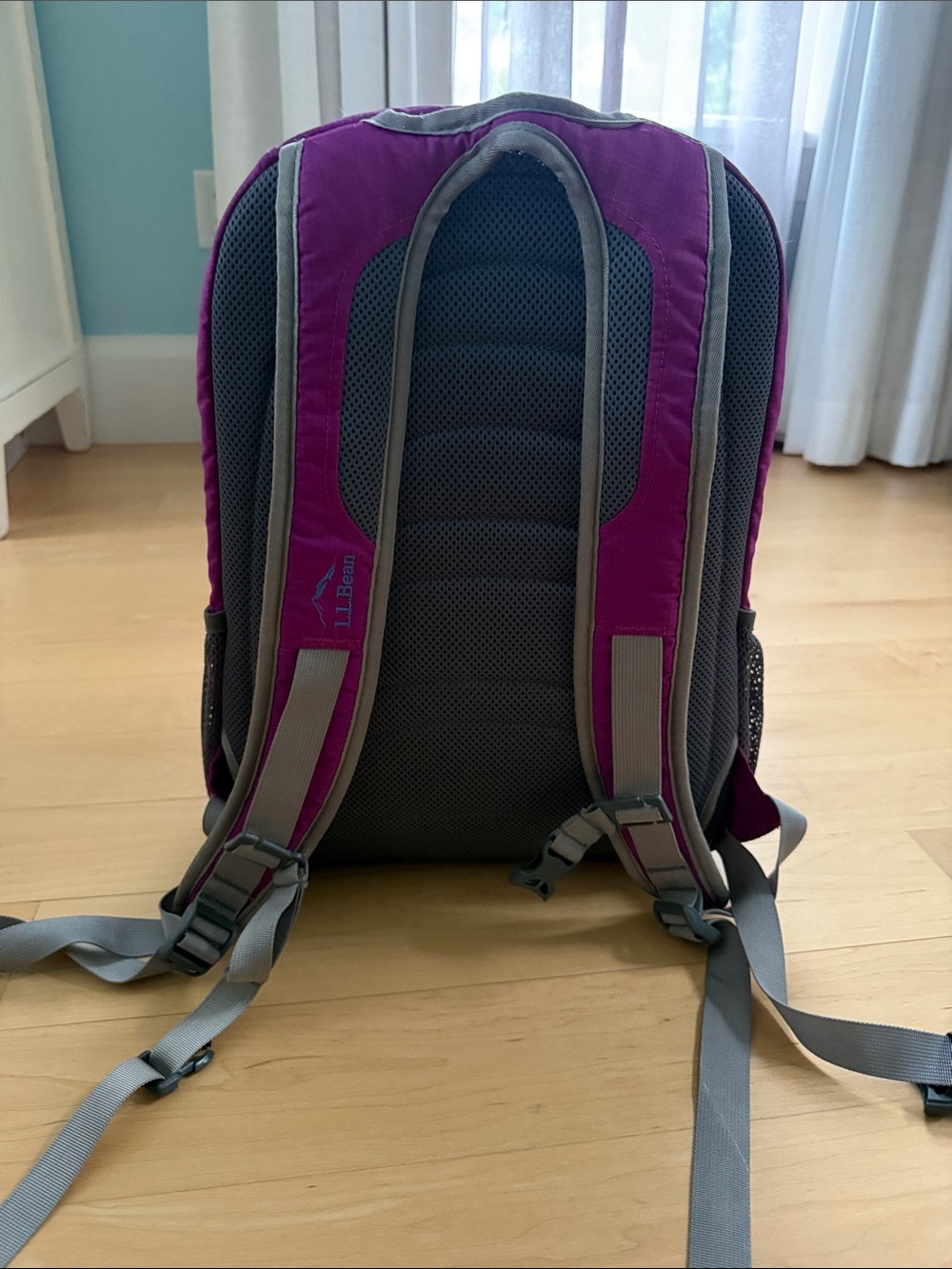 L.L. Bean Backpack - Picture 4 of 5